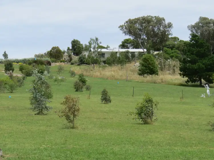 Main view of Homely rural property listing, 1179 Pine Mount Road, Woodstock NSW 2793