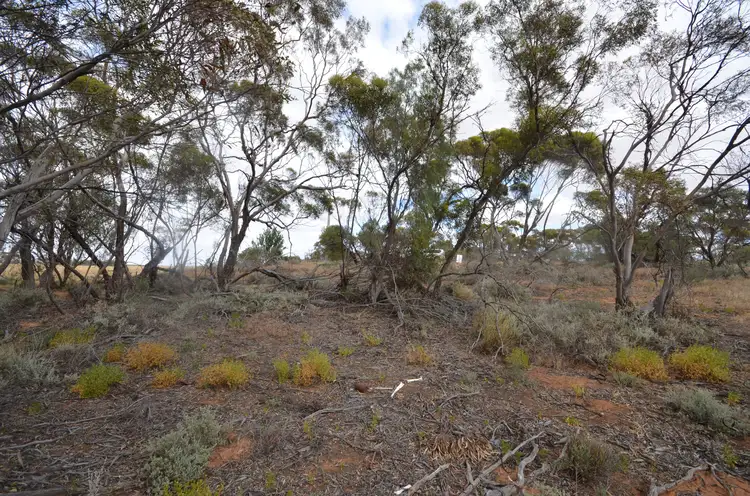 Second view of Homely rural property listing, Lot 1 Smyth Street, Chillingollah VIC 3585