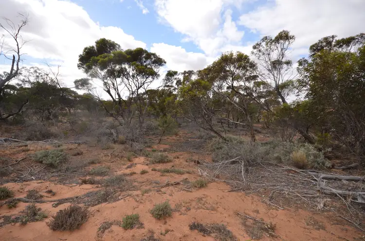 Third view of Homely rural property listing, Lot 1 Smyth Street, Chillingollah VIC 3585