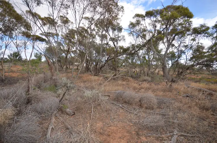 Fifth view of Homely rural property listing, Lot 1 Smyth Street, Chillingollah VIC 3585
