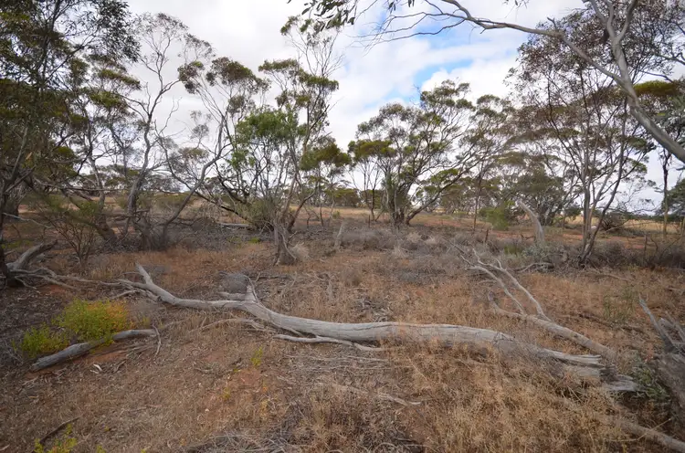 Sixth view of Homely rural property listing, Lot 1 Smyth Street, Chillingollah VIC 3585