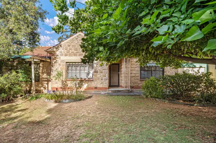 58 Canterbury Avenue, Trinity Gardens SA 5068