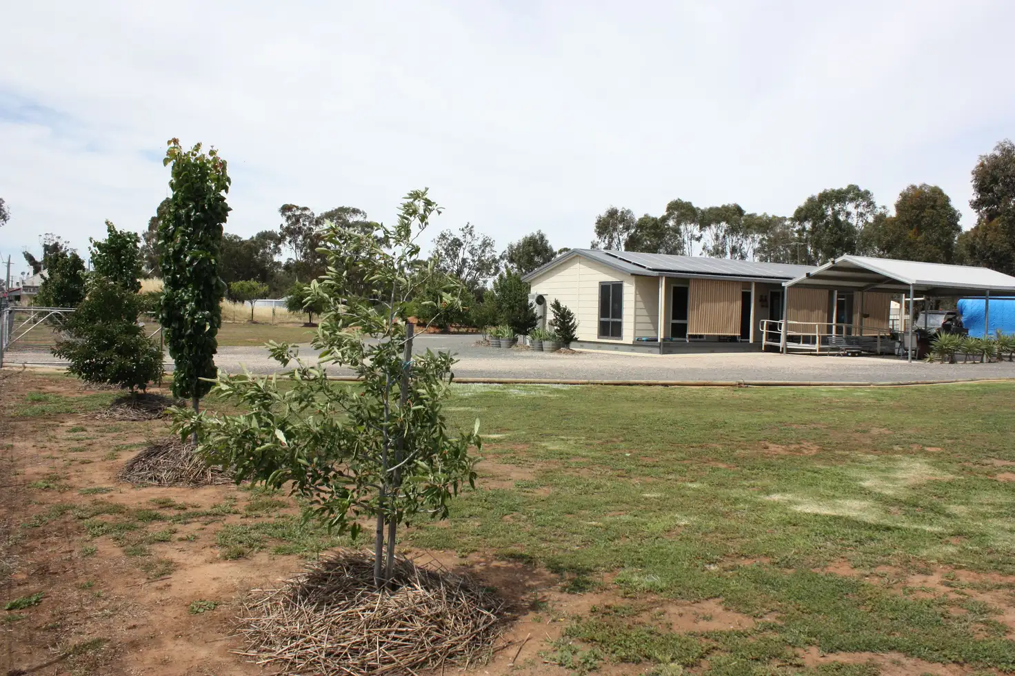 Main view of Homely rural property listing, 183 Federation Way, Coreen NSW 2646