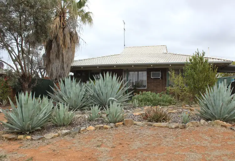 Main view of Homely house listing, 13 Hopbush Street, Kambalda West WA 6442