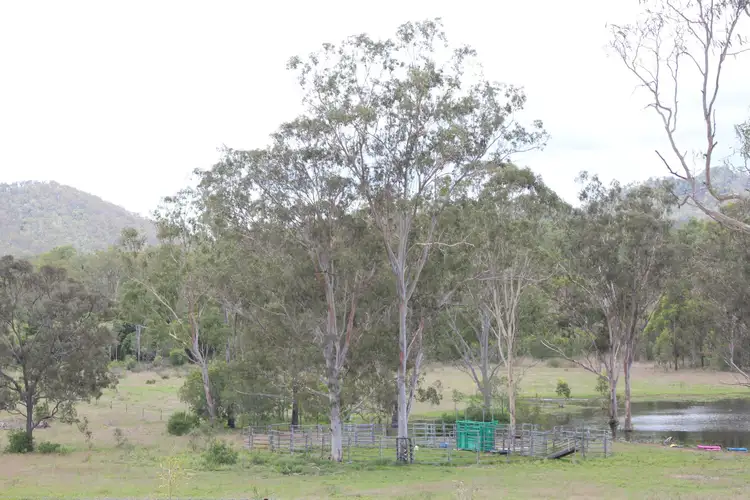 Fourth view of Homely rural property listing, 14 Spanns Road, Mount Larcom QLD 4695