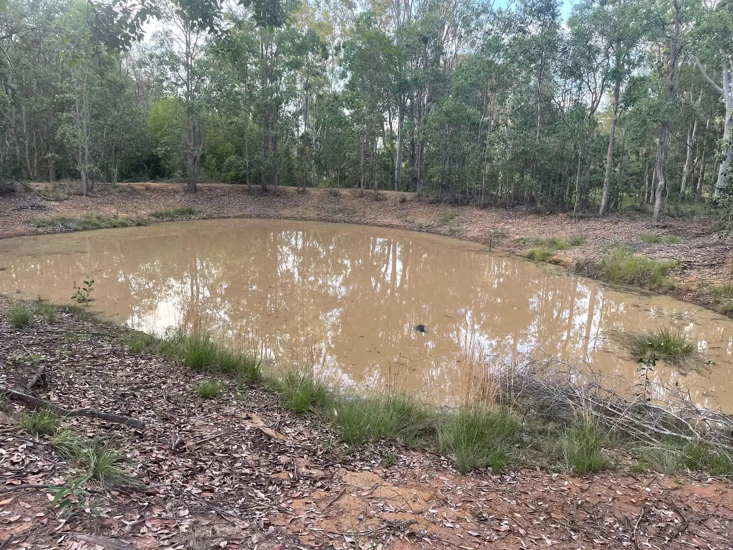 Main view of Homely rural property listing, 3283 Gatton Esk Road, Esk QLD 4312