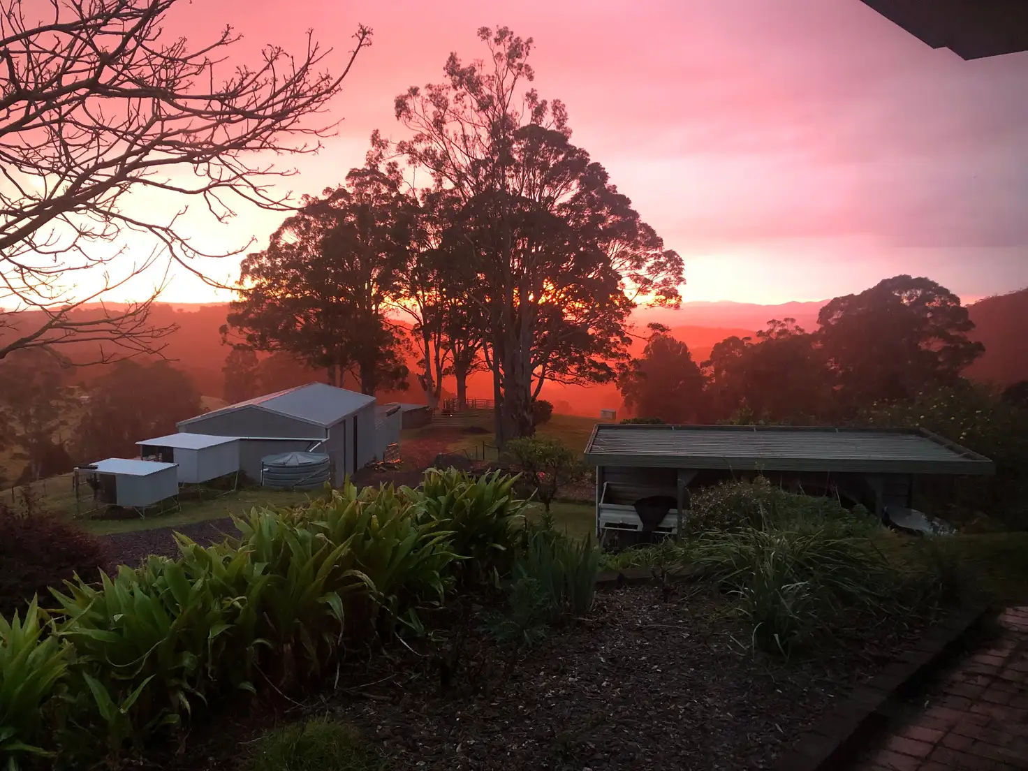 Main view of Homely rural property listing, 112 McIndoes Road, Dorrigo NSW 2453