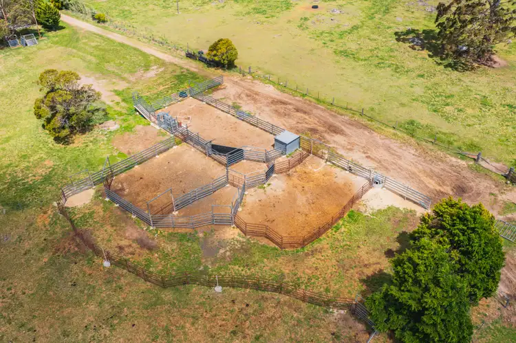Fourth view of Homely rural property listing, 12343 Gwydir Highway, Glen Elgin NSW 2370