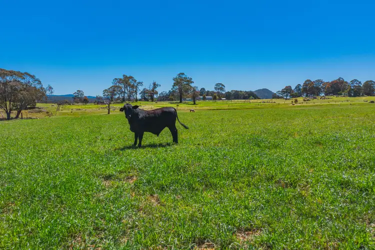 Sixth view of Homely rural property listing, 12343 Gwydir Highway, Glen Elgin NSW 2370