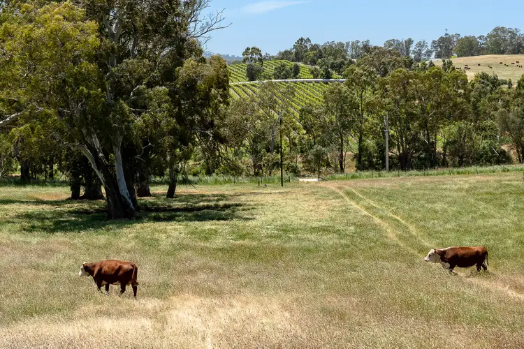 Second view of Homely rural property listing, Lot 28 Muellers Road, Birdwood SA 5234
