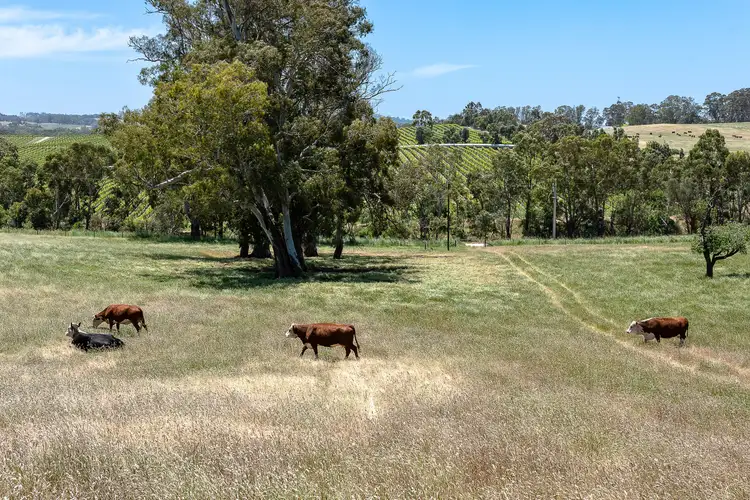 Third view of Homely rural property listing, Lot 28 Muellers Road, Birdwood SA 5234