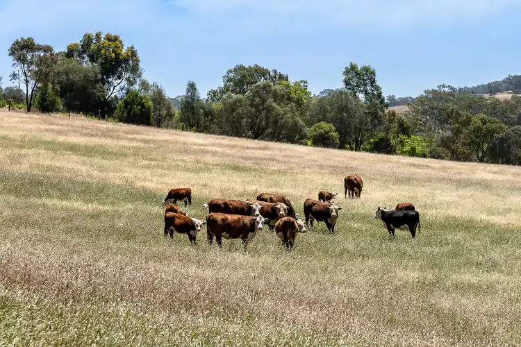 Fourth view of Homely rural property listing, Lot 28 Muellers Road, Birdwood SA 5234