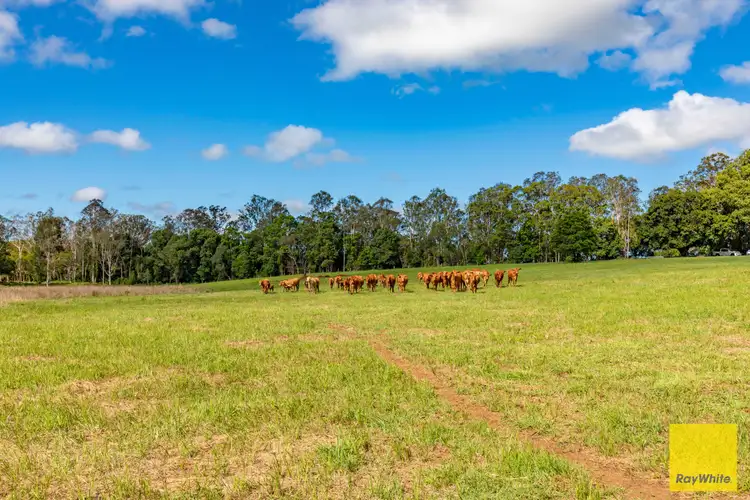 Fourth view of Homely land listing, 160 Summit Road, Pomona QLD 4568