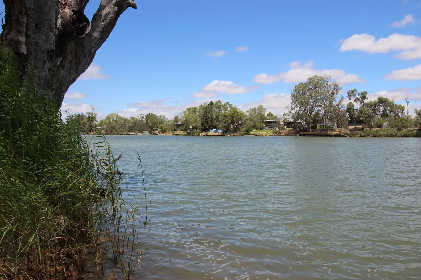 Main view of Homely land listing, 7 Idyll Avenue, Morgan SA 5320