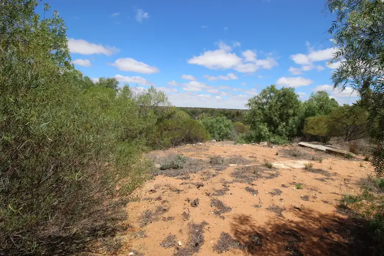 Third view of Homely land listing, 7 Idyll Avenue, Morgan SA 5320