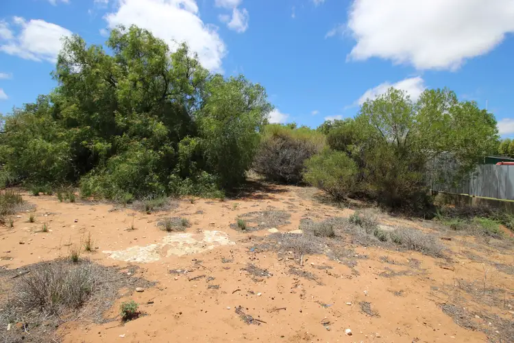 Fourth view of Homely land listing, 7 Idyll Avenue, Morgan SA 5320