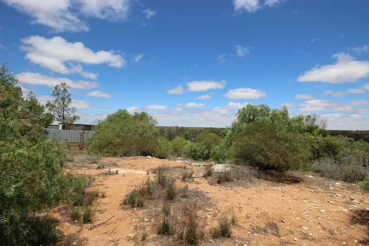 Fifth view of Homely land listing, 7 Idyll Avenue, Morgan SA 5320