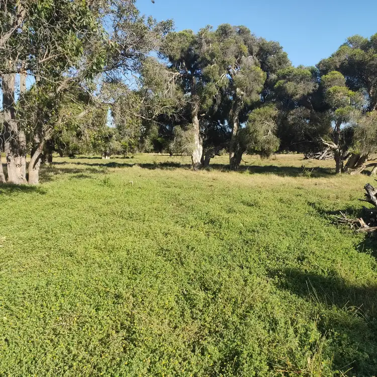 Main view of Homely land listing, LOT 104 Coonabidgee Road, Coonabidgee WA 6503