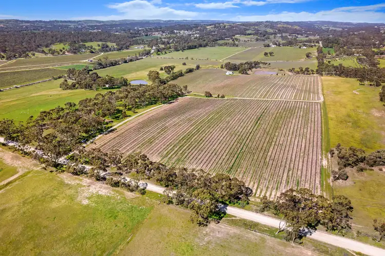 Main view of Homely rural property listing, Lot 20 Emu Rock Road, Clare SA 5453