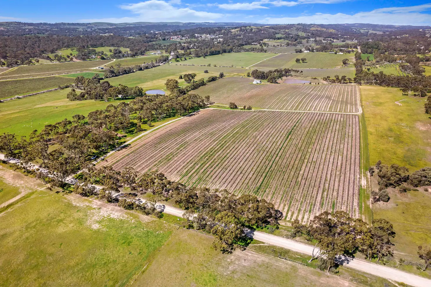 Main view of Homely rural property listing, Lot 20 Emu Rock Road, Clare SA 5453