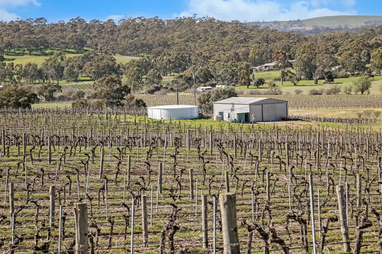 Second view of Homely rural property listing, Lot 20 Emu Rock Road, Clare SA 5453