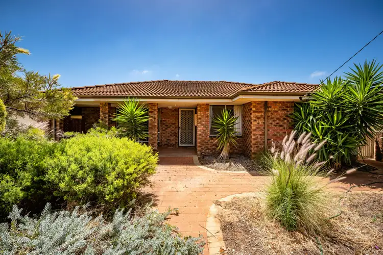 50 Harrison Street, Bluff Point WA 6530