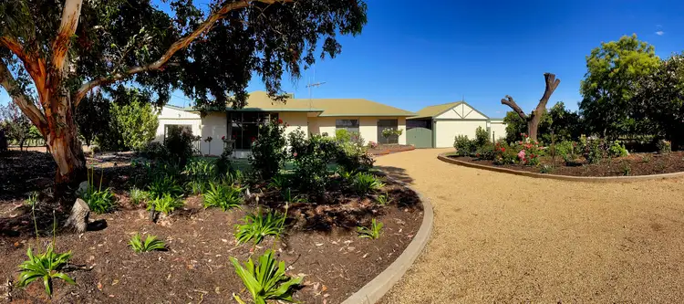 262 Balfour Ogilvy Avenue, Loxton North SA 5333