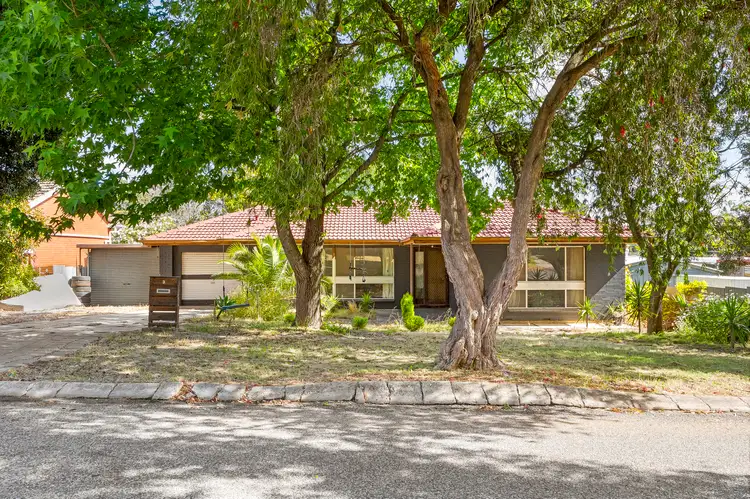3 Belmont Place, Banksia Park SA 5091
