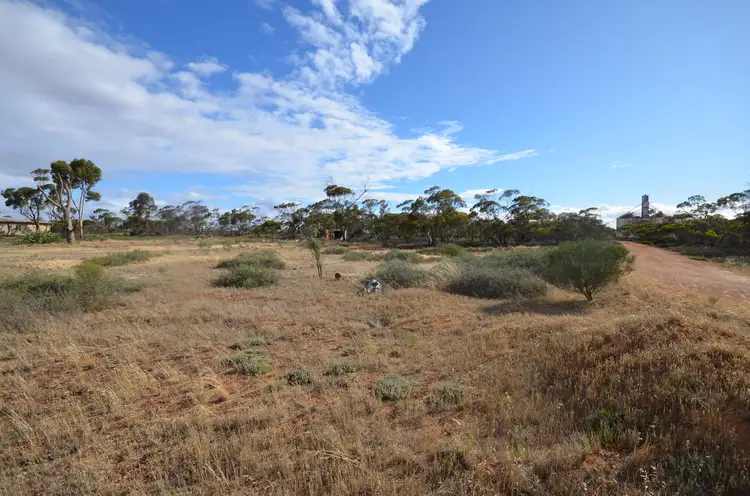 Main view of Homely rural property listing, CA 10 Robinvale-Sea Lake Road, Annuello VIC 3549