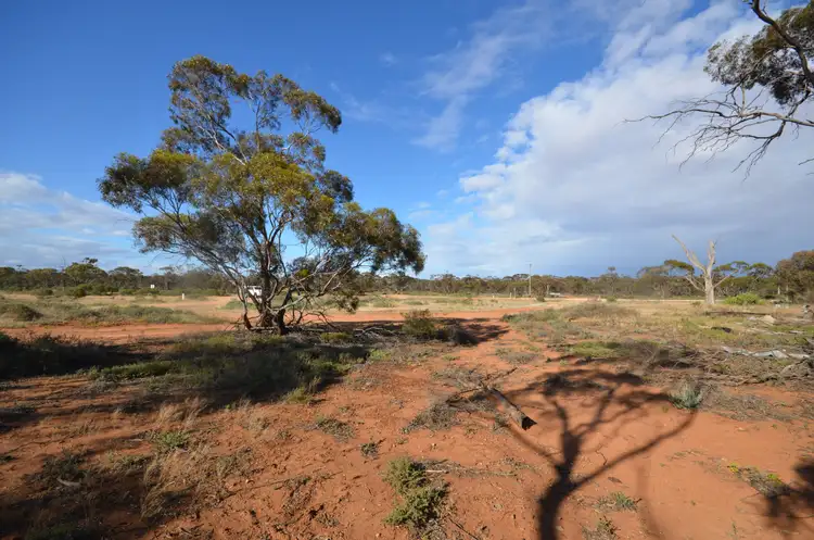 Second view of Homely rural property listing, CA 10 Robinvale-Sea Lake Road, Annuello VIC 3549