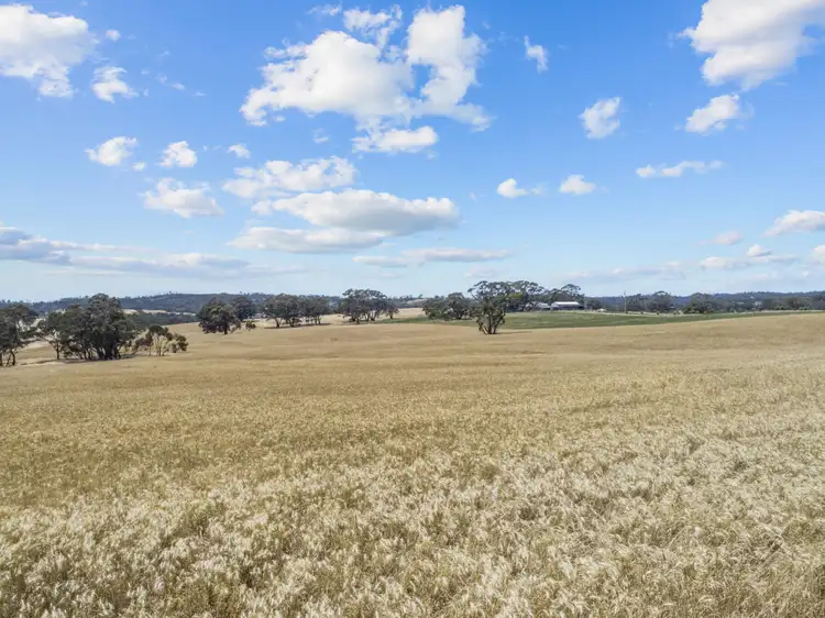 Third view of Homely land listing, Lot 205 Scobie Road, Emu Flat SA 5453