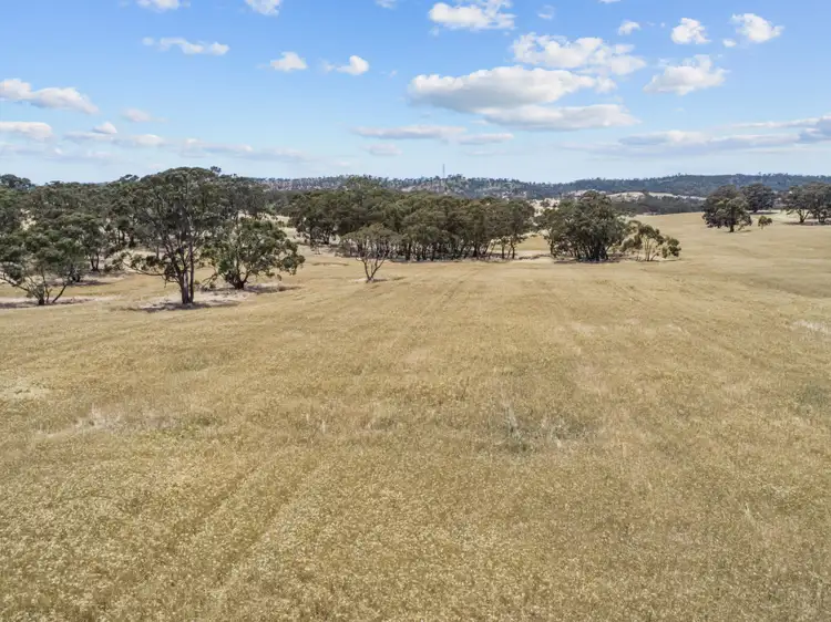 Fourth view of Homely land listing, Lot 205 Scobie Road, Emu Flat SA 5453