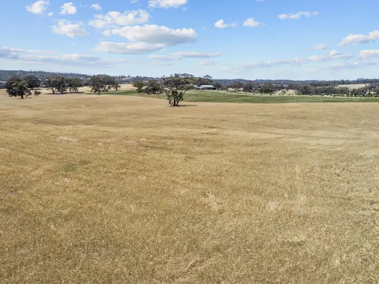 Fifth view of Homely land listing, Lot 205 Scobie Road, Emu Flat SA 5453