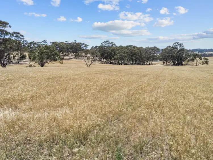Sixth view of Homely land listing, Lot 205 Scobie Road, Emu Flat SA 5453