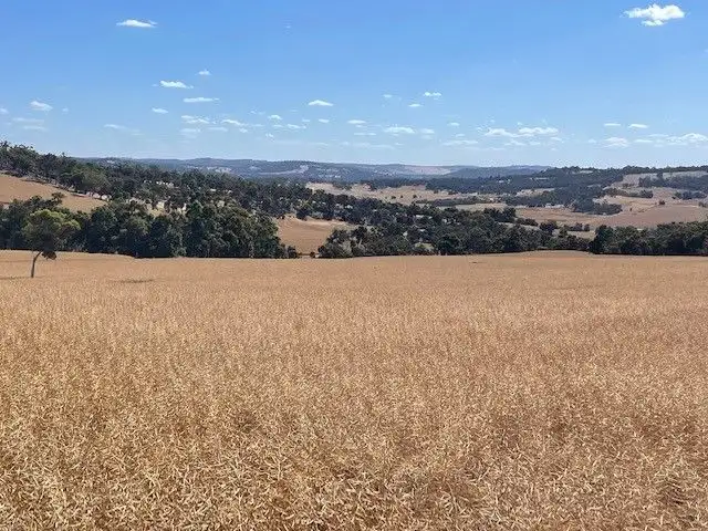 Main view of Homely rural property listing, 7 Albany Highway, Crossman WA 6390