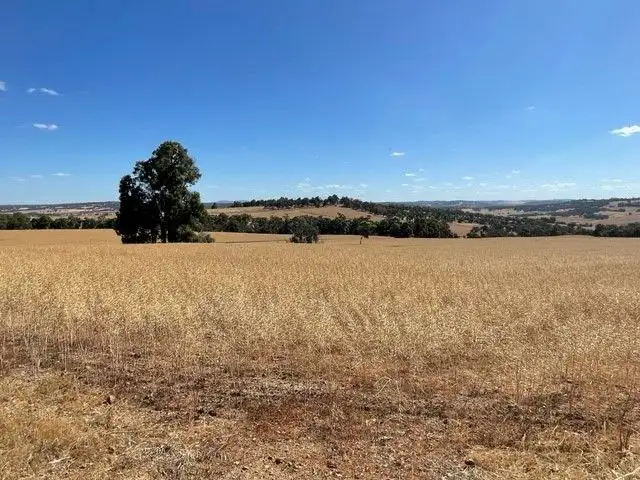 Seventh view of Homely rural property listing, 7 Albany Highway, Crossman WA 6390