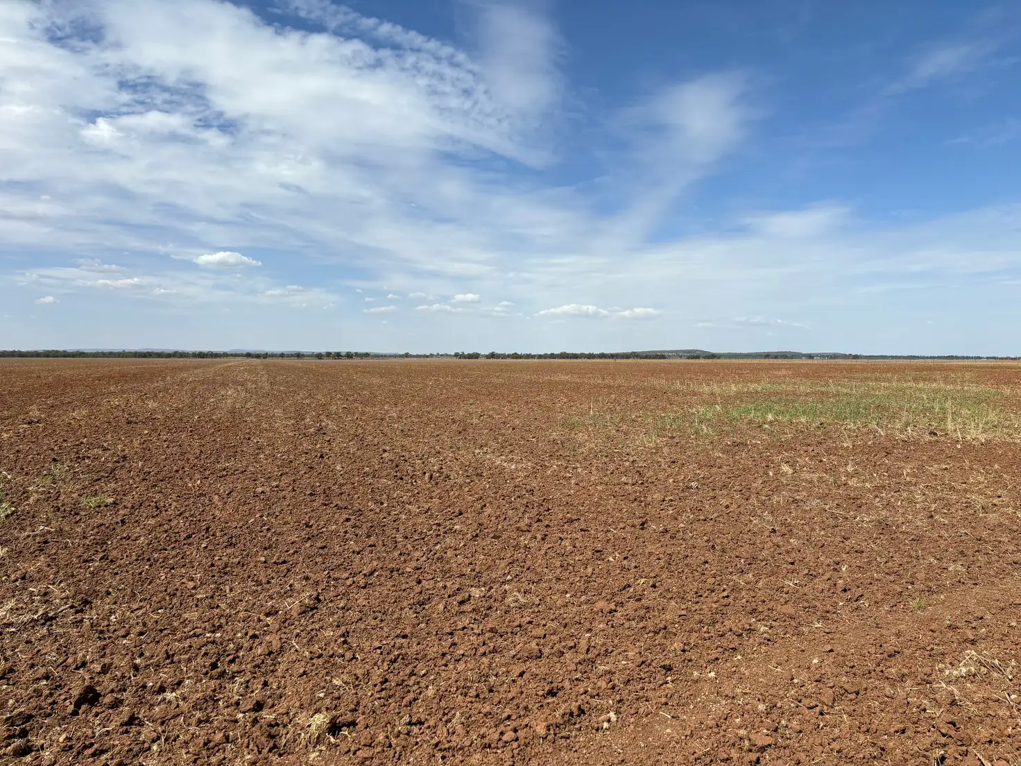 Main view of Homely rural property listing, 91 Cuningham Road, Warburn NSW 2680