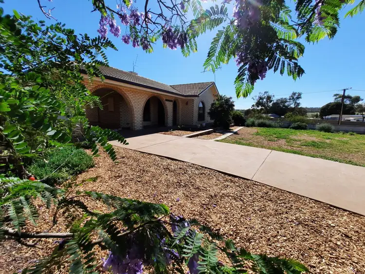 42 Shepstone Street, Quorn SA 5433