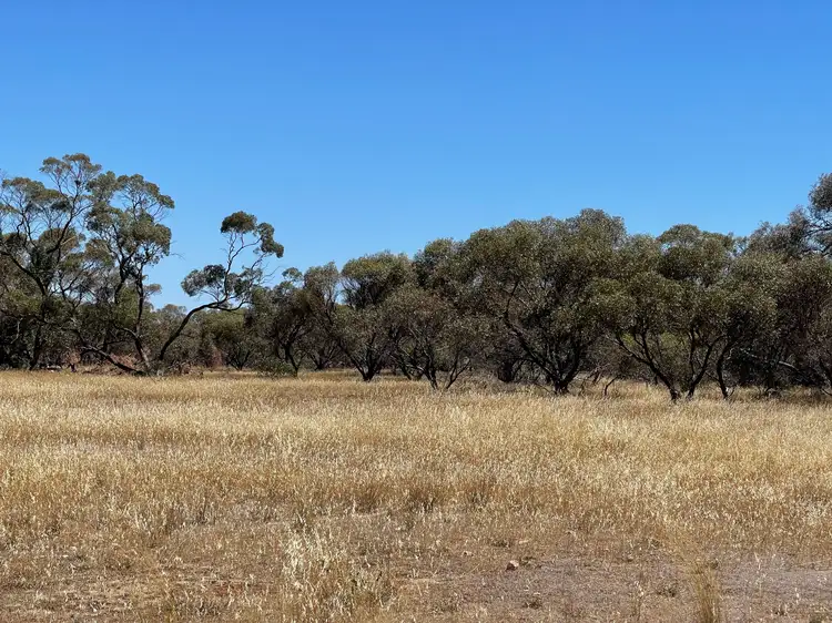 Second view of Homely land listing, LOT 91 Elwomple Road, Tailem Bend SA 5260