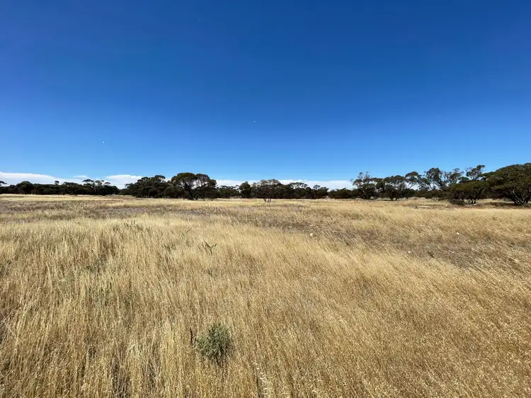 Third view of Homely land listing, LOT 91 Elwomple Road, Tailem Bend SA 5260
