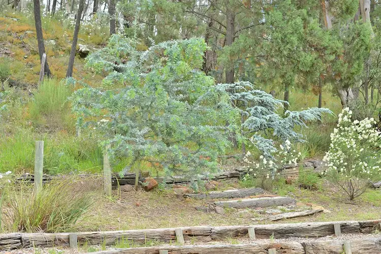Third view of Homely house listing, 2-6 MARGARET Street, Coonabarabran NSW 2357