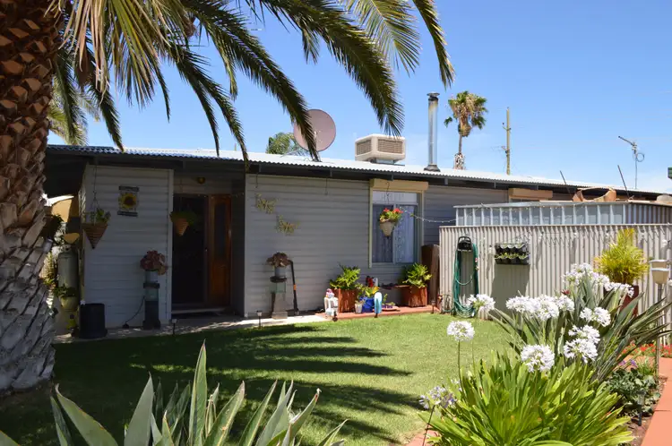 Main view of Homely house listing, 37 Pittosporum Street, Kambalda West WA 6442