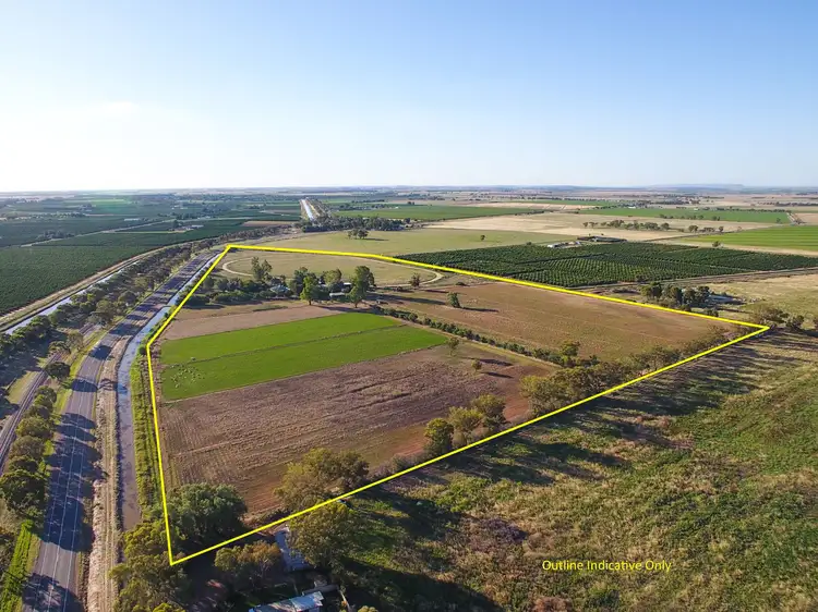 Fourth view of Homely rural property listing, 326 Irrigation Way, Leeton NSW 2705