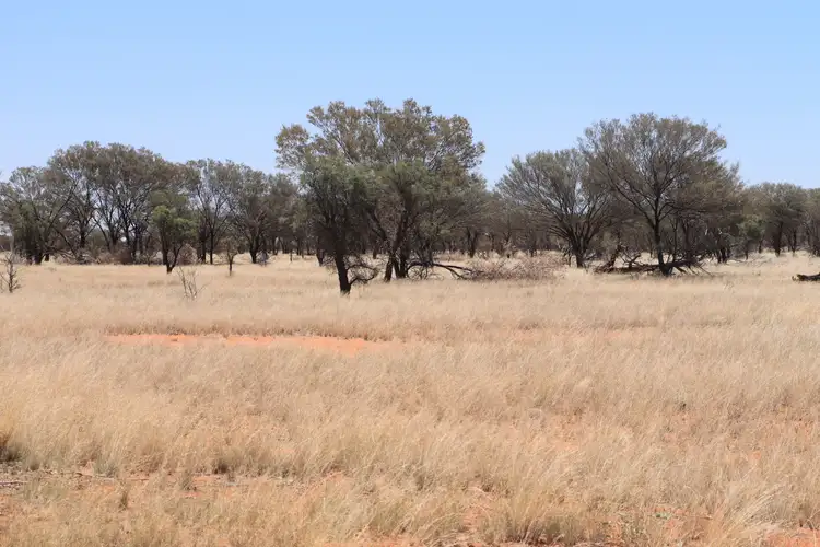 Main view of Homely rural property listing, "Wathopa" 4751 Hungerford Road, Thargomindah QLD 4492