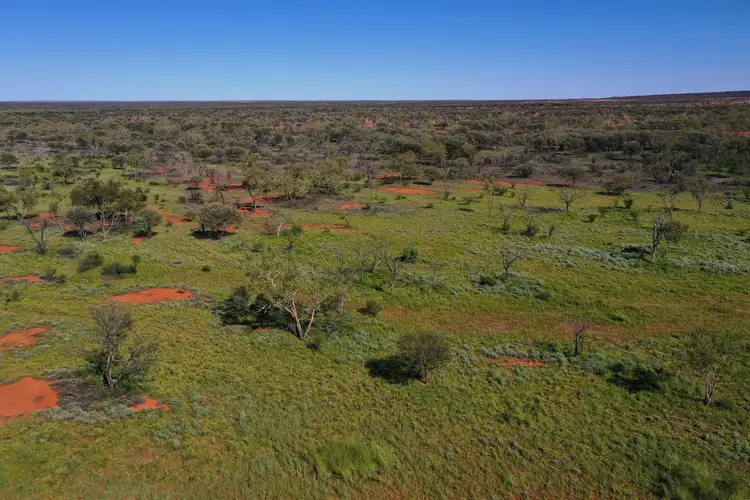Second view of Homely rural property listing, "Wathopa" 4751 Hungerford Road, Thargomindah QLD 4492