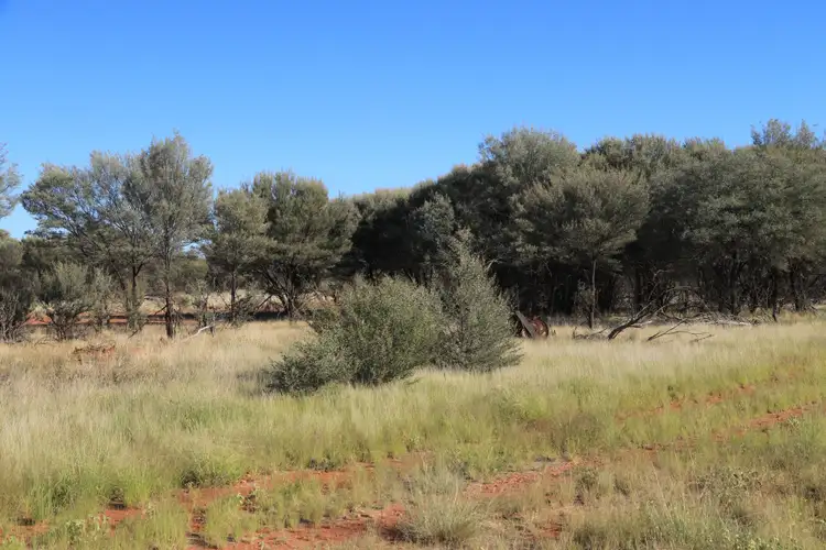 Seventh view of Homely rural property listing, "Wathopa" 4751 Hungerford Road, Thargomindah QLD 4492