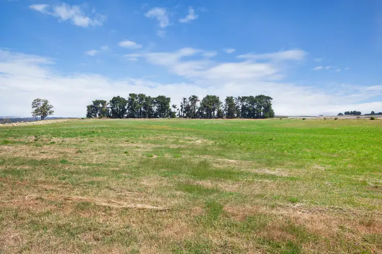 Sixth view of Homely land listing, 110 Daylesford-Trentham Road, Daylesford VIC 3460