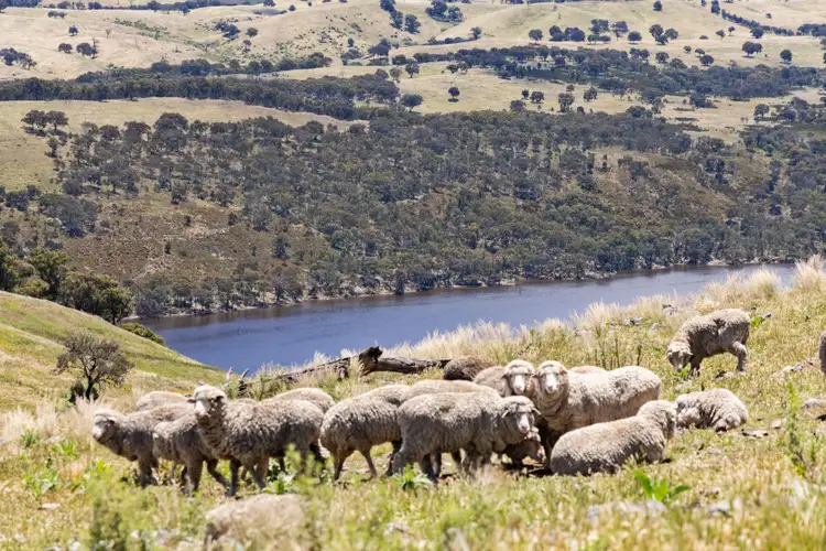 Fourth view of Homely rural property listing, 354 Fifeshire Road, Yass NSW 2582