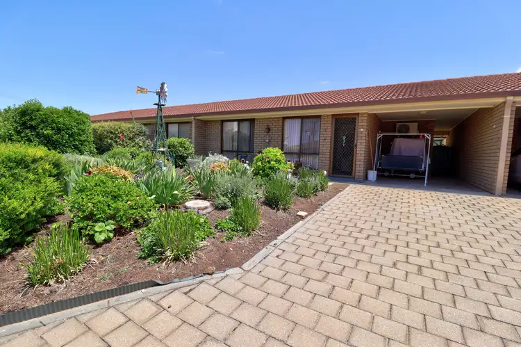 Second view of Homely unit listing, Unit 3/7 Reginald Street, Loxton SA 5333