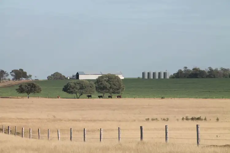 Second view of Homely rural property listing, 2139 Ponty Pool Road, Cockatoo QLD 4419